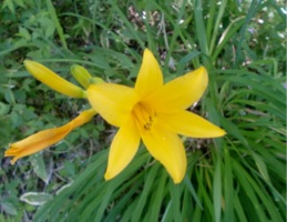 c0151898_1539399.jpg