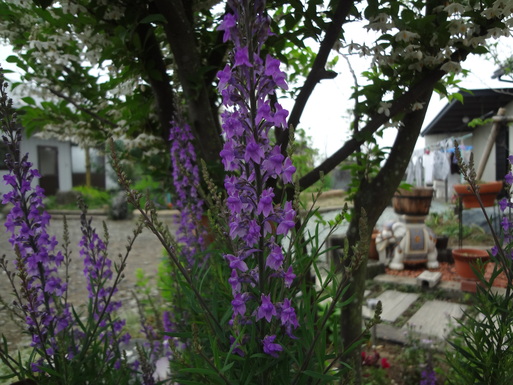 e0292102_13553751.jpg