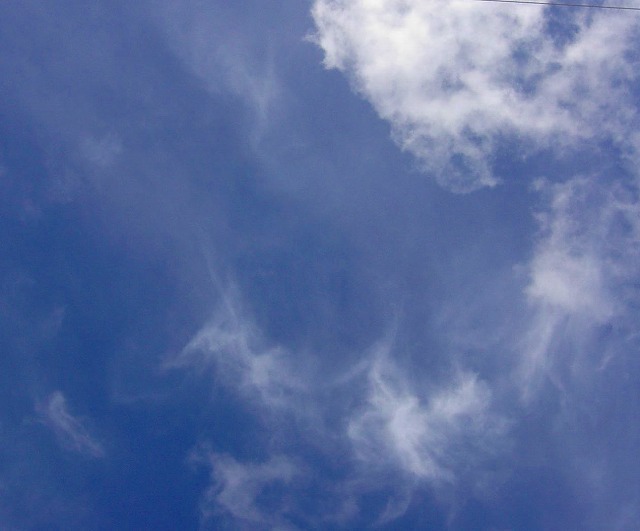 c0187403_16114028.jpg
