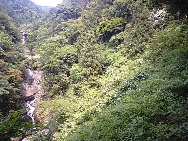 f0231709_2217910.jpg