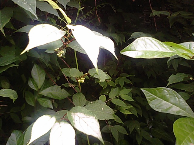 f0231709_22183659.jpg