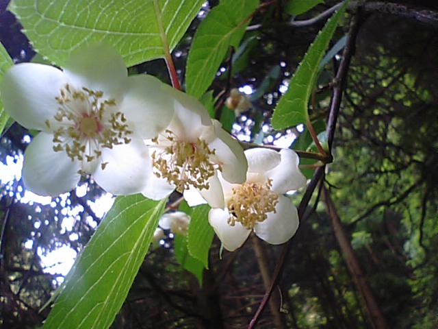 f0231709_22185883.jpg