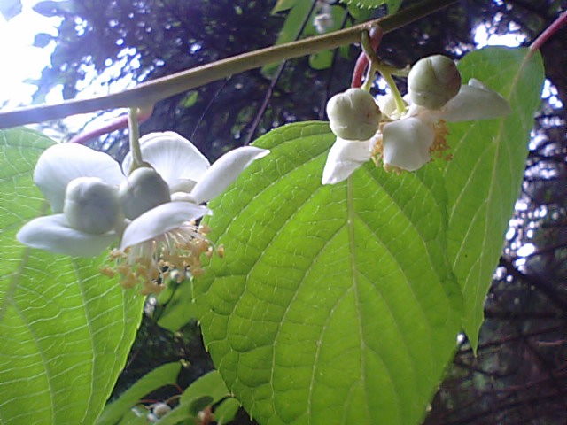 f0231709_22191725.jpg