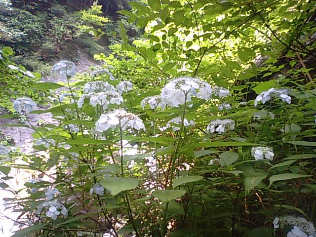 f0231709_22225527.jpg