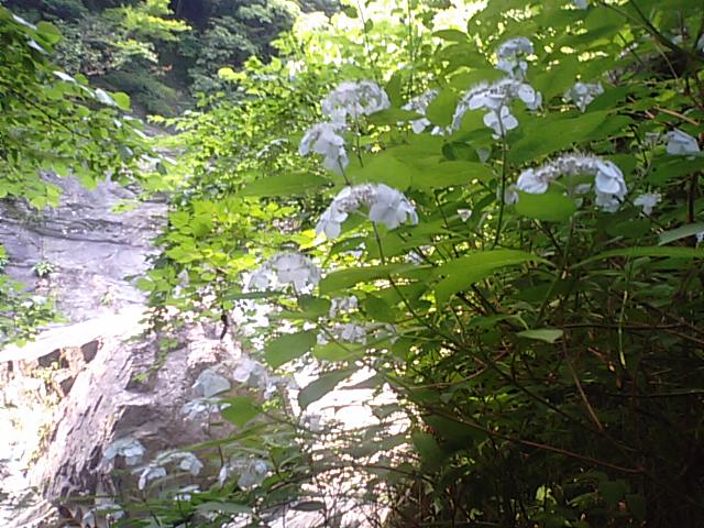 f0231709_22231241.jpg