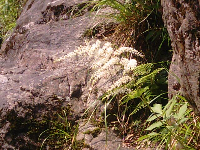 f0231709_22303098.jpg
