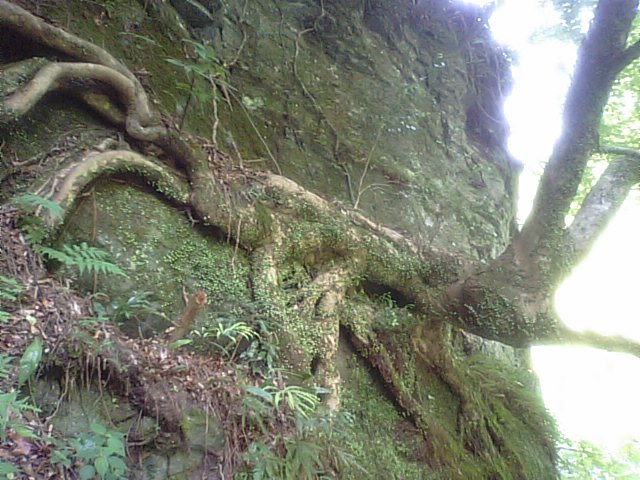f0231709_2231439.jpg