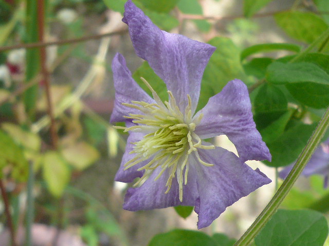 e0026017_21561756.jpg