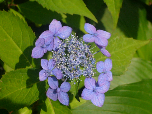 e0026017_2221946.jpg