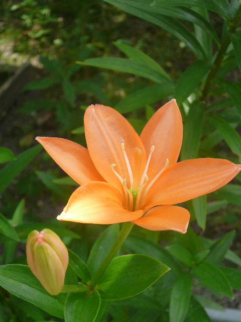 e0026017_2241550.jpg