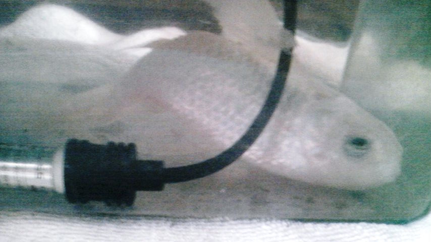 b0080718_18231951.jpg