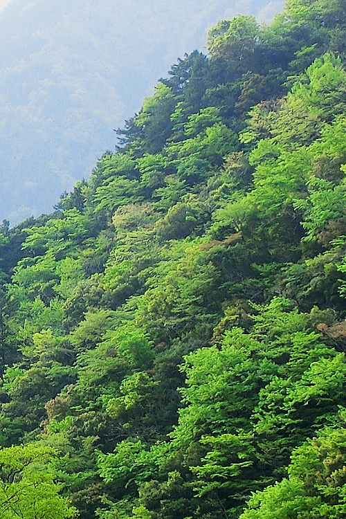 f0248120_19344288.jpg