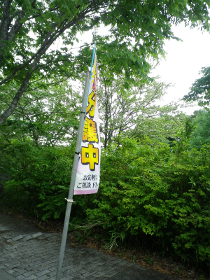 f0188324_7464669.jpg