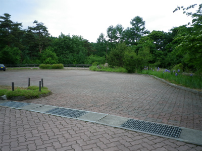 f0188324_748645.jpg