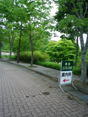 f0188324_8184851.jpg