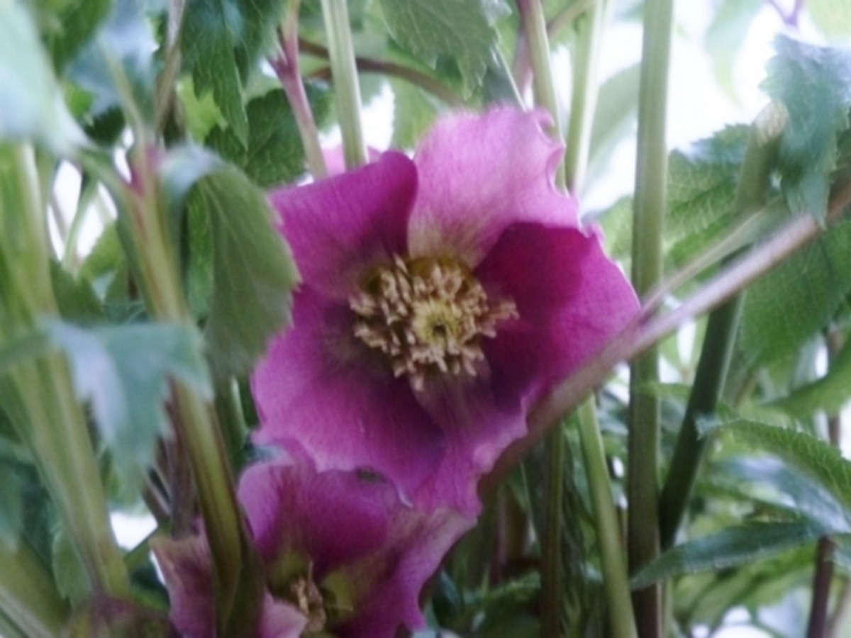 e0033229_2052184.jpg