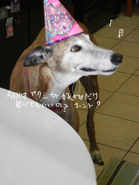d0269832_3535393.png