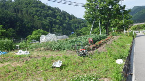 c0300035_8494128.jpg