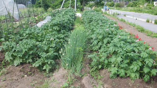 c0300035_901545.jpg