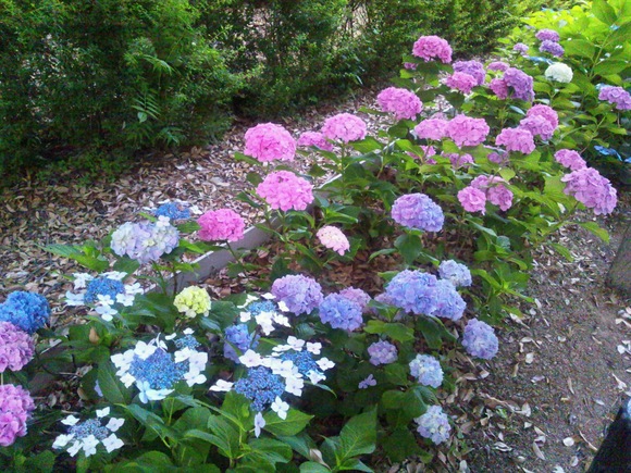 f0247039_1055039.jpg
