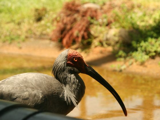 e0007544_811652.jpg