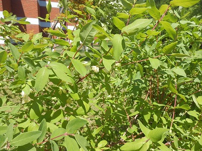 e0004756_19402932.jpg