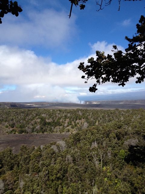 e0033156_1151199.jpg