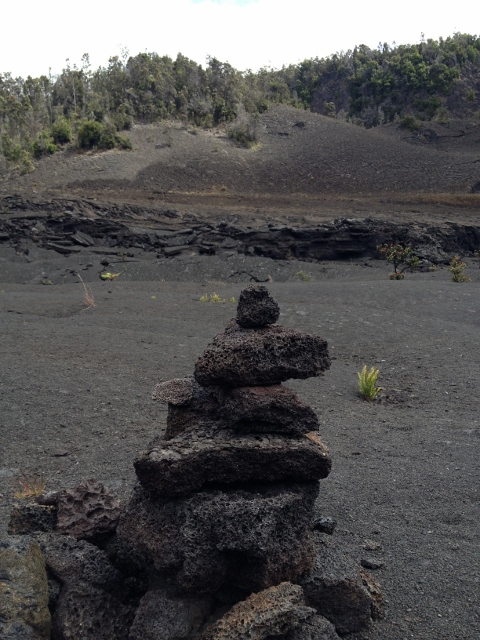 e0033156_119303.jpg