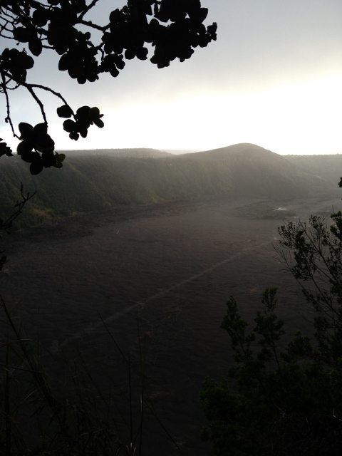 e0033156_564539.jpg