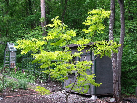 e0088260_1414386.jpg