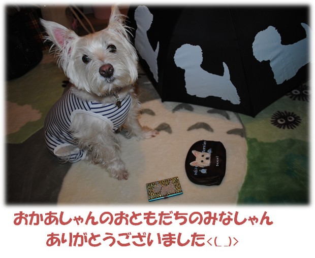 b0242873_164367.png