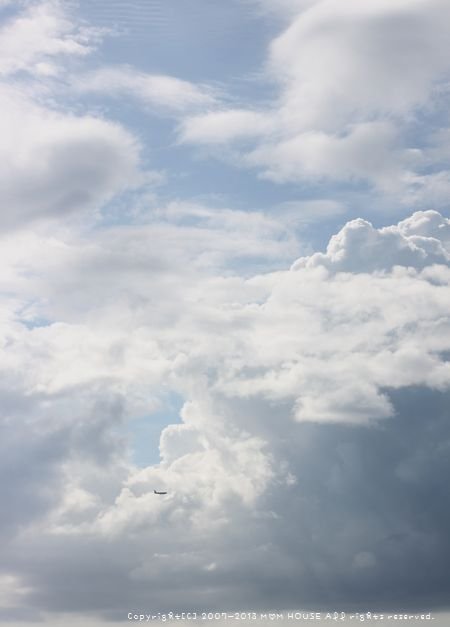 c0139375_13294419.jpg