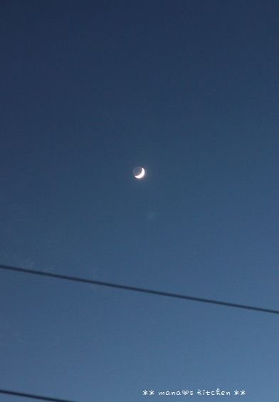 c0139375_13331681.jpg