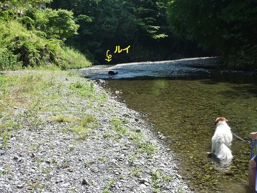 e0207477_15512959.jpg