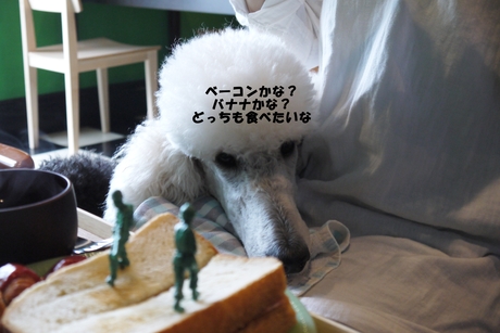 c0283778_16181361.jpg