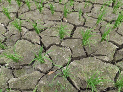 b0159780_6445812.gif