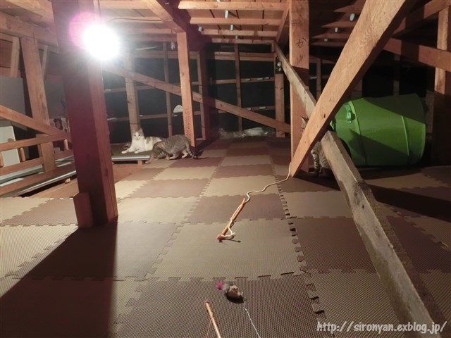 a0159490_1112487.jpg