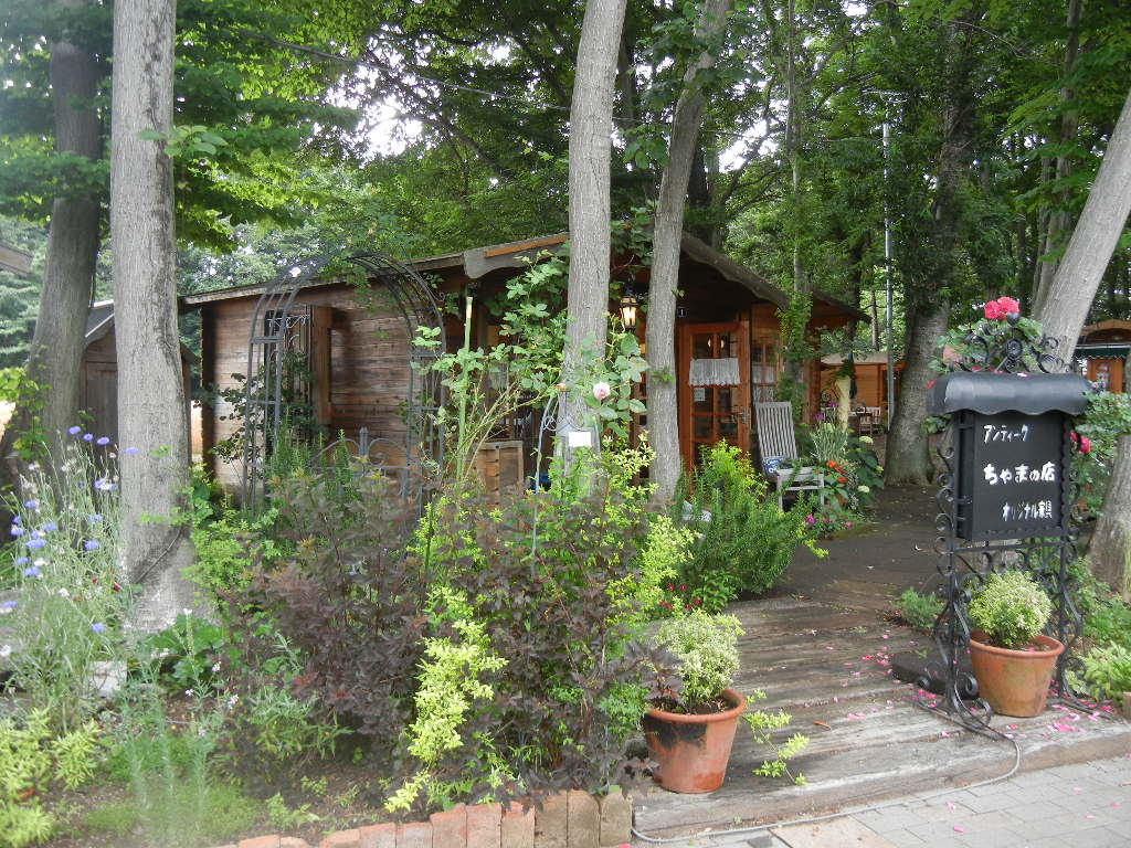 b0144891_18551315.jpg