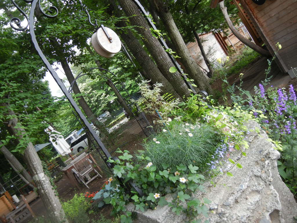 b0144891_18561661.jpg
