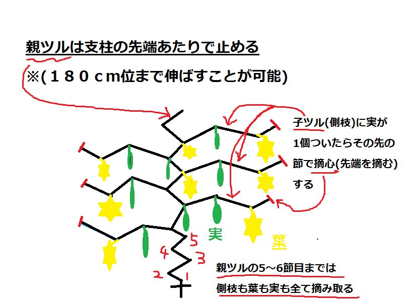 f0181394_17491787.png