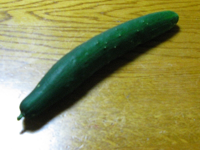 f0181394_17554954.jpg