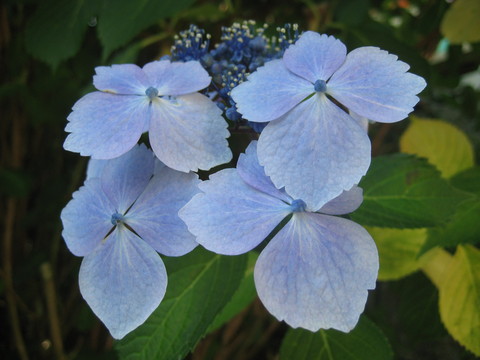 f0201297_0124784.jpg
