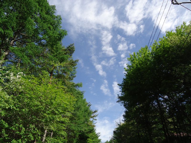 b0148106_7234114.jpg
