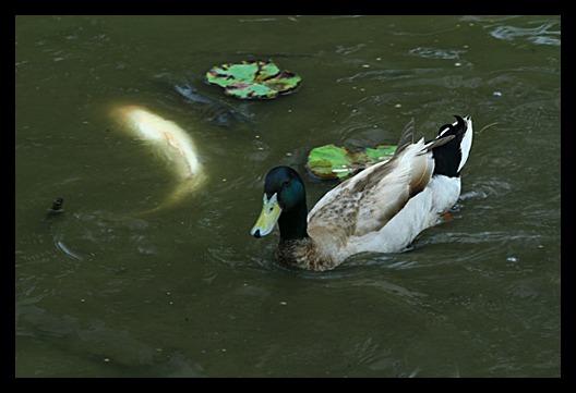 b0014607_19213100.jpg