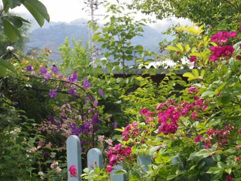 c0117007_17343459.jpg