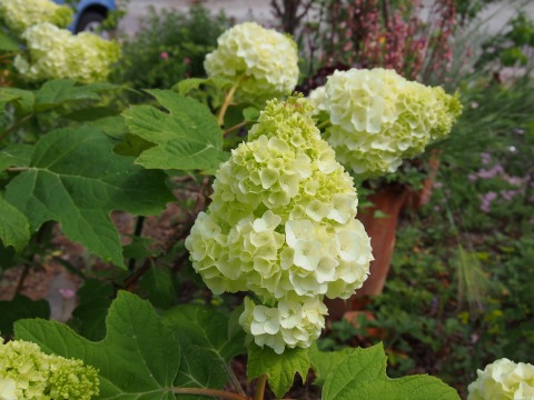 c0117007_17391248.jpg