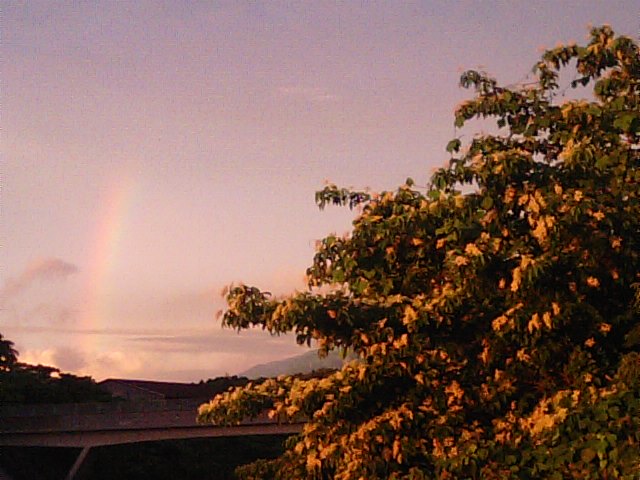 f0231709_21315315.jpg