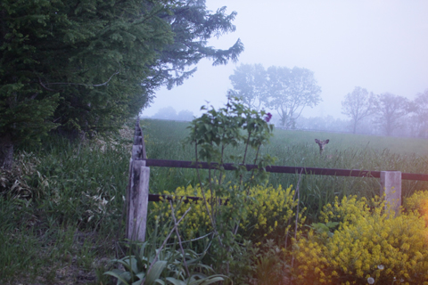 d0063314_2050958.jpg
