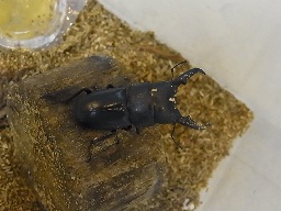 f0191517_1354764.jpg