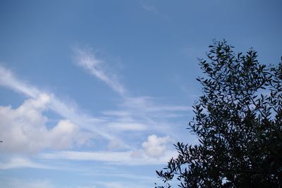 d0104029_1650592.jpg